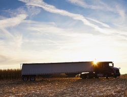 Truck service - Officine meccaniche,Autofficine e centri assistenza,Autobus, filibus, e minibus,Condizionatori aria per autoveicoli - Perugia (Perugia)