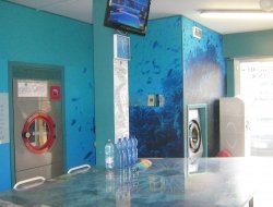 Laundry sea water services - Stirerie - servizio conto terzi,Imprese pulizia,Lavanderie e stirerie,Lavanderie self service ad acqua e a secco - Incisa in Val d'Arno (Firenze)