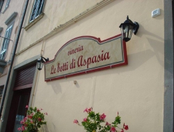 Le botti di aspasia - Ristoranti - trattorie ed osterie - Montespertoli (Firenze)