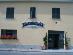 Trattoria paoli - Ristoranti,Ristoranti - trattorie ed osterie - Piacenza (Piacenza)