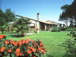 Hotel villa isabela - Alberghi - Santa Maria di Sala (Venezia)