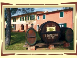 Locanda osteria il fornello - Ristoranti - Altopascio (Lucca)