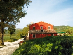 Casa martelletto agriturismo - Agriturismo,Ristoranti - Serra San Quirico (Ancona)