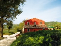 Casa martelletto agriturismo - Agriturismo,Ristoranti - Serra San Quirico (Ancona)