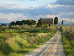 Casa bellavista bed and breakfast - Bed & breakfast - Cortona (Arezzo)