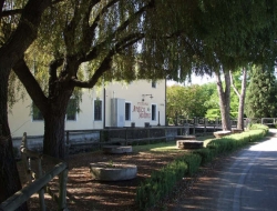 Trattoria antico molino - Ristoranti,Ristoranti specializzati - carne - Pernumia (Padova)