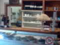 Opinioni degli utenti su Bar Alvaro