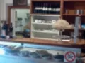 Opinioni degli utenti su Bar Alvaro