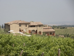 Agriturismo borgo tollena wine resort - Agriturismo - San Gimignano (Siena)