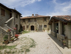 Agriturismo il cucciolo - Agriturismo - Città di Castello (Perugia)