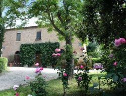 Agriturismo san fabiano - Agriturismo - Monteroni d'Arbia (Siena)