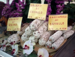 Allevamento master - Salumi e prosciutti lavorazione - Carmignano di Brenta (Padova)