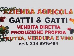 Azienda agricola gatti & gatti - Azienda agricola - Pianoro (Bologna)