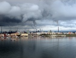 Diogene di spertini giovanni battista e c. s.a.s. - Azienda locale - Recco (Genova)