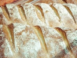 Panificio d'angeli elma - Panifici industriali ed artigianali - Castignano (Ascoli Piceno)