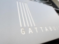 Opinioni degli utenti su Ristorante Pizzeria Gattabuia