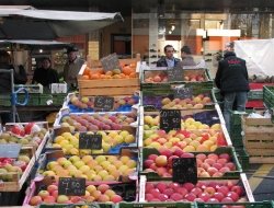 Maniero sergio - Agenti e rappresentanti di commercio - Legnaro (Padova)