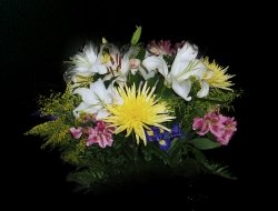 Giardino dei fiori s.n.c. di francesca di bernardo & c. - Fili metallici - Petrosino (Trapani)