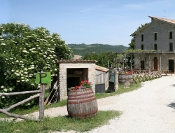 Az.agro-silvo-pastorale-turistico-scientifica la cerqua di mart - Agriturismo - Pietralunga (Perugia)