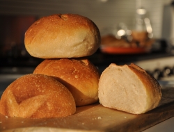 Il chicco di grano societa' in nome collettivo di scipioni romeo e c. - Panetterie - Tarquinia (Viterbo)