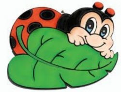 Asilo nido la coccinella - Nidi d'infanzia,Infanzia servizi - Ancona (Ancona)