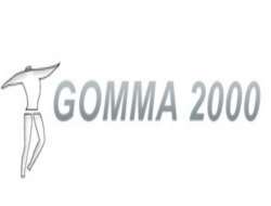 Gomma 2000 di zaccardi amedeo & c. s.a.s. - Gomma articoli vari - produzione e ingrosso - Fontanella (Bergamo)