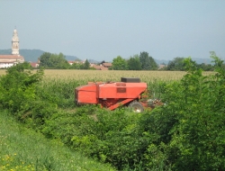 Nocsa s.r.l. - Agricoltura - attrezzi, prodotti e forniture - Montecassiano (Macerata)