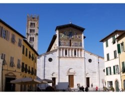 La giunchiglia societa' cooperativa - Consulenze turistiche - Lucca (Lucca)