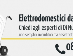 Di nucci & f.lli srl - Elettrodomestici - riparazione ed accessori - Pescara (Pescara)
