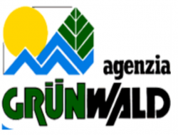Agenzia immobiliare grunwald - Affittanze immobili,Agenzie immobiliari - Canazei (Trento)