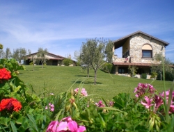 Agriturismo poggio nebbia - Agriturismo - Tarquinia (Viterbo)