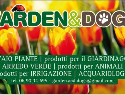 Garden & dogs società a responsabilità limitata semplificata - Vivai piante e fiori,Alimenti e accessori per animali - Roma (Roma)