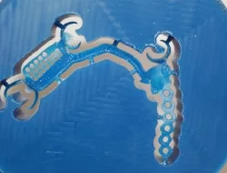 Petrucci marco - Odontotecnici - laboratori - Chiavari (Genova)