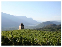 Pfitscher thomas - Agriturismo,Bed & breakfast - Montagna - Montan (Bolzano)