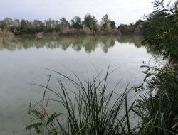 Coutenza canali - Bonifiche ed irrigazioni - Casale Monferrato (Alessandria)