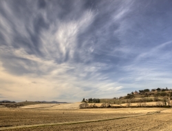 Agrisud di argentieri angelo - Macchine agricole - accessori e parti,Macchine agricole - commercio e riparazione,Macchine agricole - riparazione e vendita - Latiano (Brindisi)