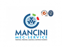 Mancini mec-service srl - Officine meccaniche di precisione,Saldatura metalli,Torneria metalli - Cesena (Forlì-Cesena)