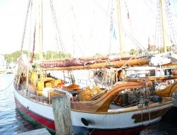 Nautica pesca sport di fanni marilena e c. sas - Nautica - equipaggiamenti e forniture - Tortolì (Ogliastra)