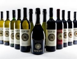 Tenconi s.r.l - Enoteche e vendita vini,Vini e spumanti - produzione e ingrosso - Spresiano (Treviso)