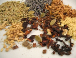 Bioenergy srls - Alimenti di produzione biologica - Sassari (Sassari)