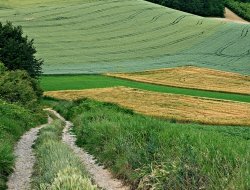 Comune di grana - Comune e servizi comunali - Grana (Asti)