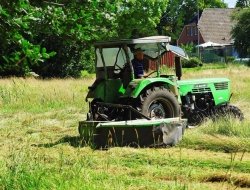 Safid s.r.l. - Mangimi, foraggi ed integratori zootecnici - Marsciano (Perugia)