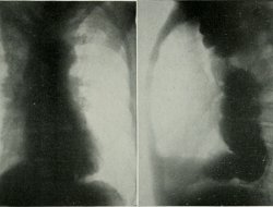 Studio di diagnostica per immagini fasano s.r.l. - Medici specialisti - radiologia, radioterapia ed ecografia - Casarano (Lecce)