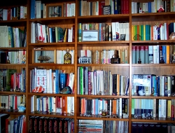 C.d.x. multimedia di valentina distante & c. s.a.s - Editoria elettronica e multimediale,Librerie - Lecce (Lecce)