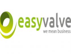 Easyvalve s.r.l. - Consulenza industriale - Gallarate (Varese)