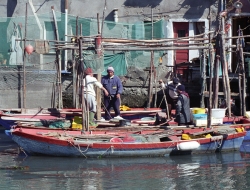 Caccia e pesca berdini snc di berdini orietta & c. - Caccia e pesca articoli - produzione e ingrosso - Corridonia (Macerata)