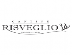 Cantine risveglio agricolo scpa - Enoteche e vendita vini,Vini e spumanti - produzione e ingrosso,Azienda agricola - Brindisi (Brindisi)