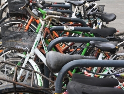 Cicli de poi di de poi adriano - Biciclette - vendita e riparazione - Induno Olona (Varese)