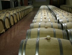 Dogliotti 1870 di ivan dogliotti & c. s.n.c. - Vini e spumanti - produzione e ingrosso,Cantine - Castagnole delle Lanze (Asti)