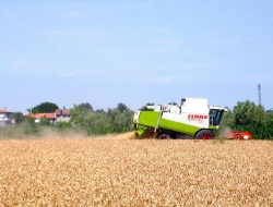 Macc di carlino elio michele e c. sas - Macchine agricole - produzione,Macchine agricole - riparazione e vendita - Cigliano (Vercelli)